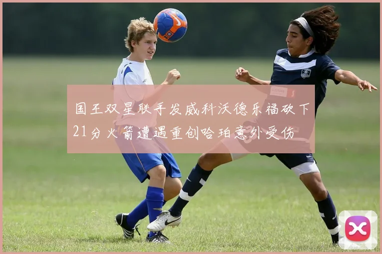 国王双星联手发威科沃德乐福砍下21分火箭遭遇重创哈珀意外受伤