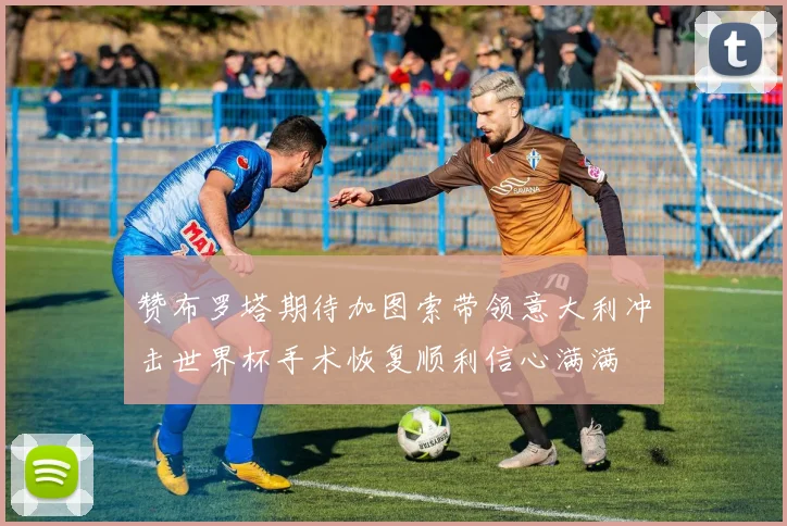 赞布罗塔期待加图索带领意大利冲击世界杯手术恢复顺利信心满满